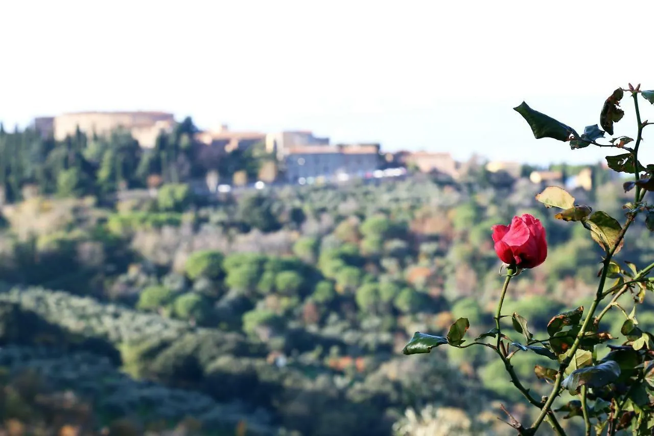 Agriturismo Bellavista Apt La Terrazza Castagneto Carducci Ιταλία